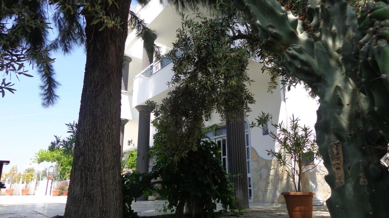 Panorama בית הארחה