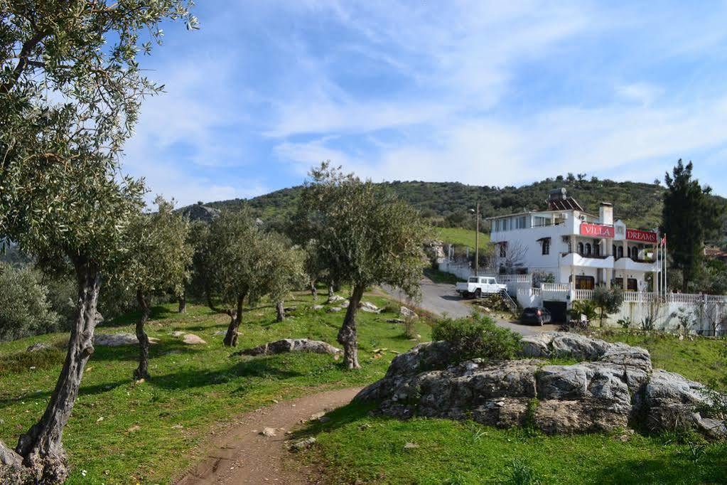בית הארחה Panorama *